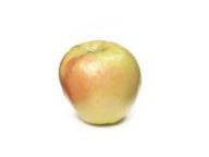 Einzelfrucht Gelber Bellefleur