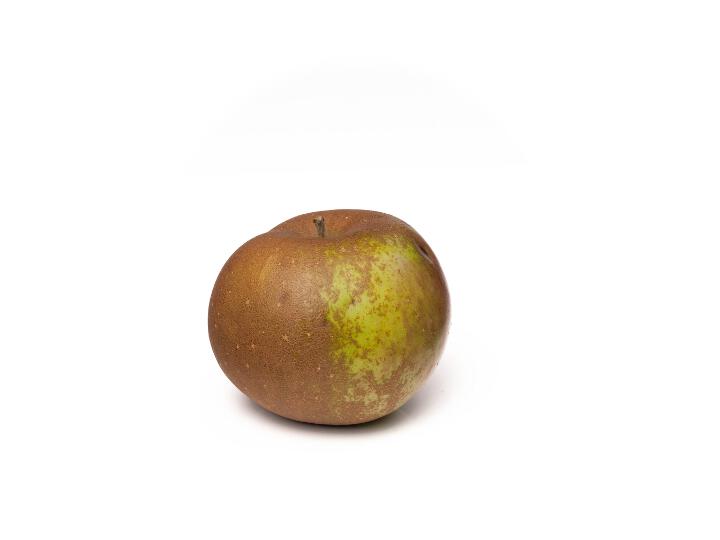 Einzelfrucht Osnabrücker Renette