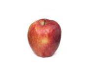Einzelfrucht Red Delicious Spur