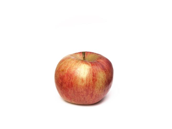 Fruit Harmensz