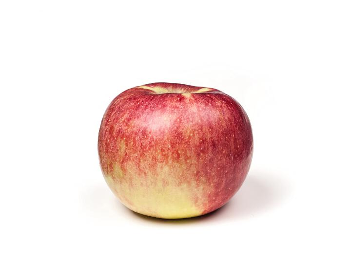 Fruit Prinz Albrecht von Preußen