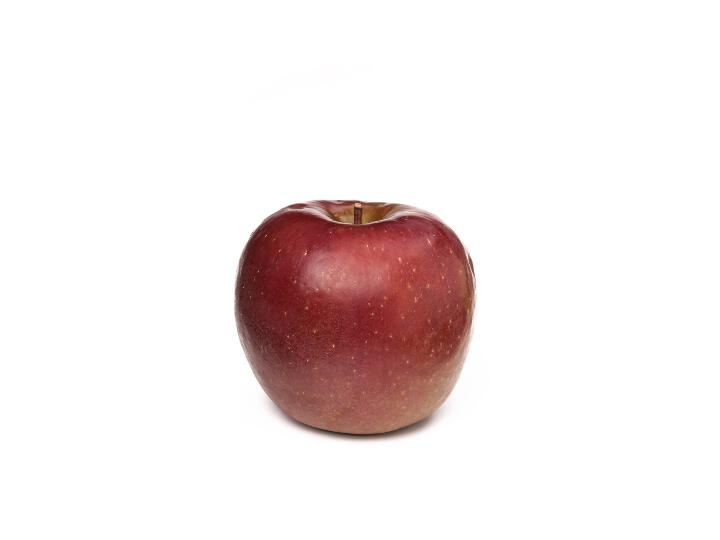 Fruit RS-1